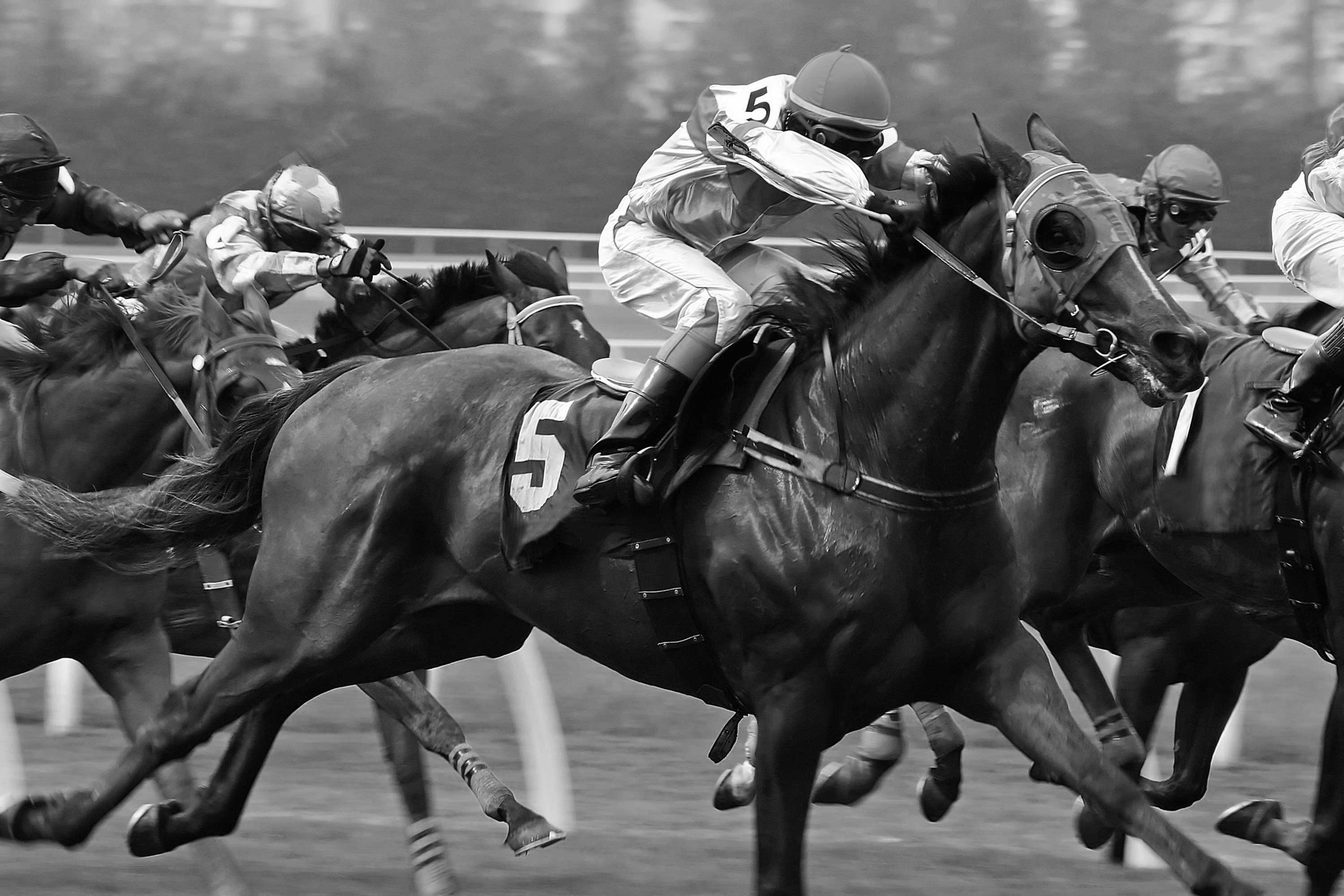 Thoroughbred racing at Hialeah Park